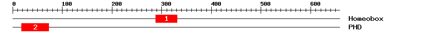 Signature Domain