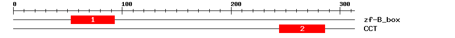 Signature Domain