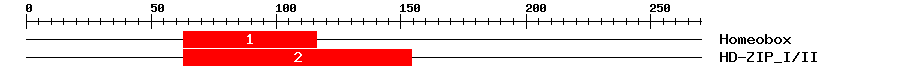 Signature Domain