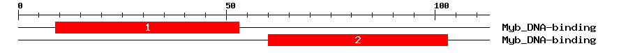 Signature Domain