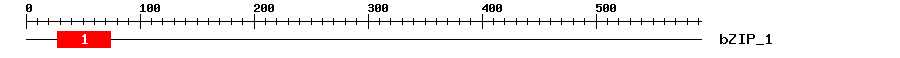Signature Domain