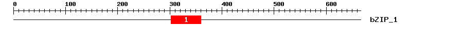 Signature Domain