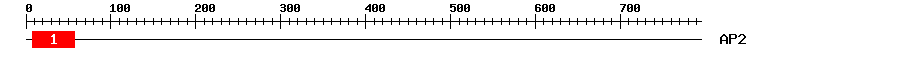 Signature Domain