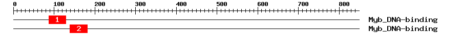 Signature Domain