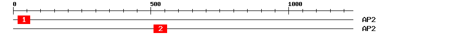 Signature Domain
