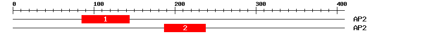 Signature Domain