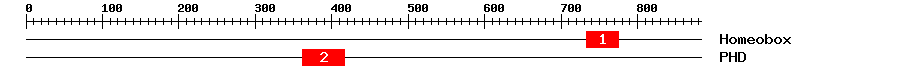 Signature Domain
