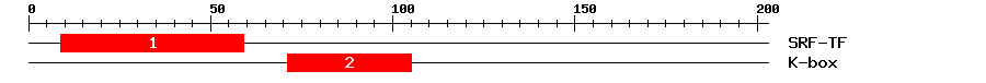 Signature Domain