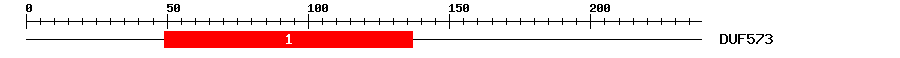 Signature Domain