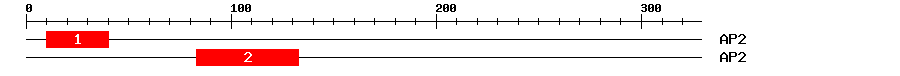 Signature Domain