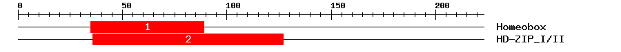 Signature Domain