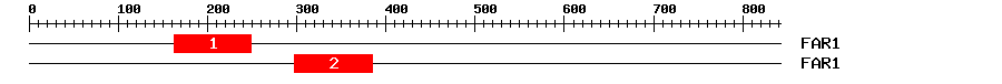Signature Domain