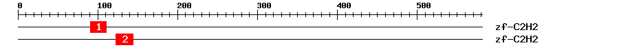 Signature Domain