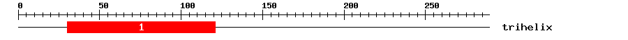 Signature Domain