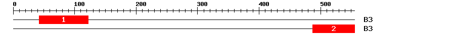 Signature Domain
