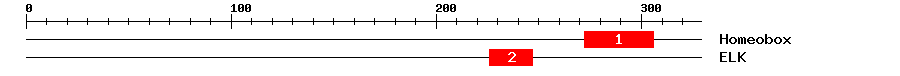 Signature Domain