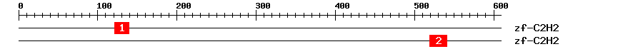 Signature Domain