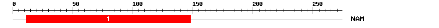 Signature Domain