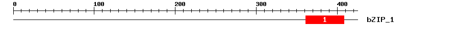 Signature Domain