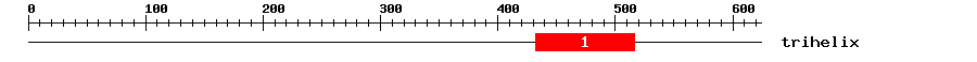 Signature Domain
