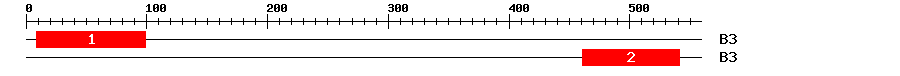 Signature Domain