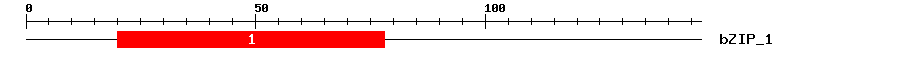 Signature Domain