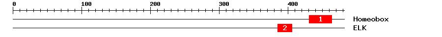 Signature Domain