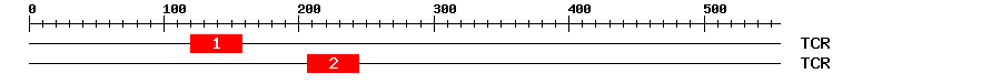 Signature Domain