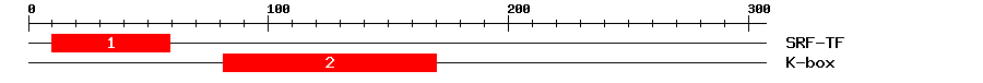 Signature Domain