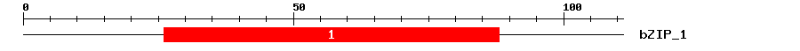 Signature Domain
