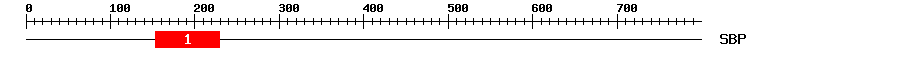 Signature Domain