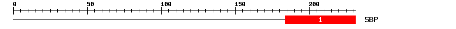 Signature Domain