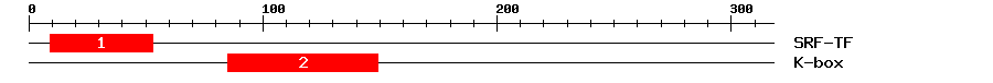 Signature Domain