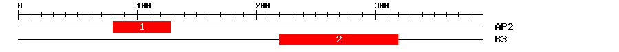 Signature Domain