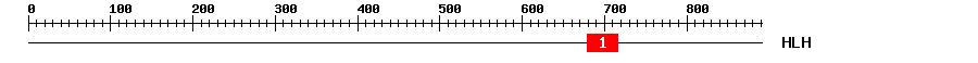 Signature Domain
