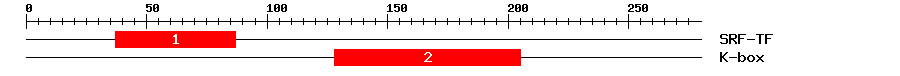 Signature Domain