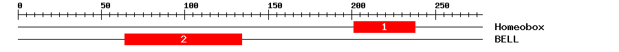 Signature Domain