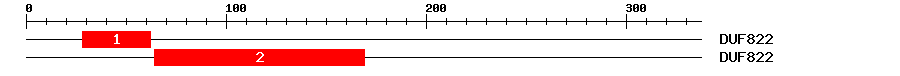 Signature Domain