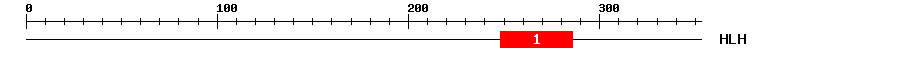 Signature Domain