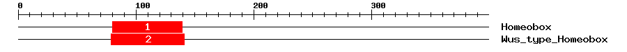 Signature Domain