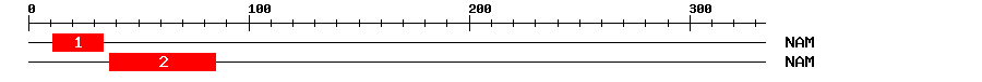 Signature Domain