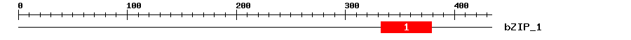 Signature Domain