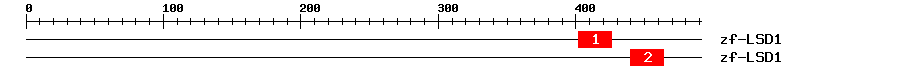 Signature Domain