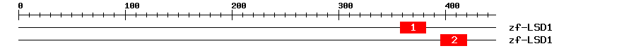 Signature Domain