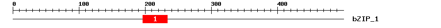 Signature Domain
