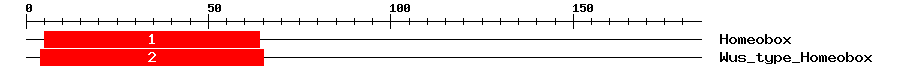 Signature Domain