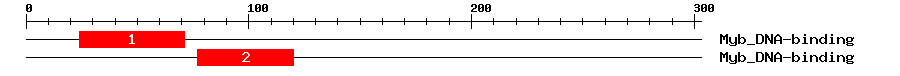 Signature Domain