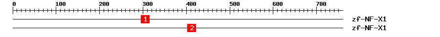 Signature Domain