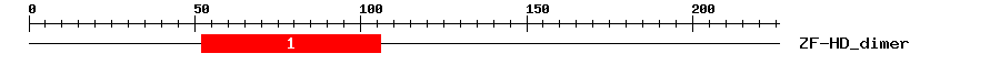 Signature Domain
