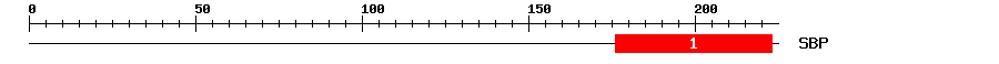 Signature Domain
